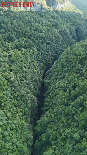 KenR5gFS 5fTKaO6.jpg