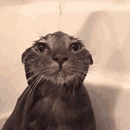 welcome 125705874600170@lid.jpg