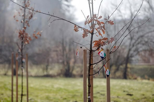 597929094 1396685105155053 818190072832818845 n.jpg?stp=dst jpg s590x590 tt6& nc cat=109&ccb=1 7& nc.jpg