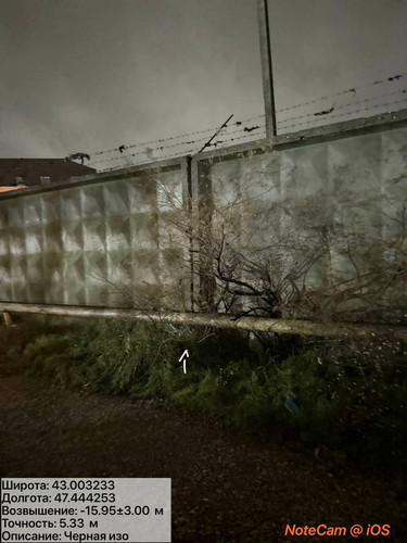 photo 35 2025 12 11 02 27 12.jpg