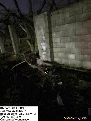 photo 7 2025 12 11 02 27 12.jpg