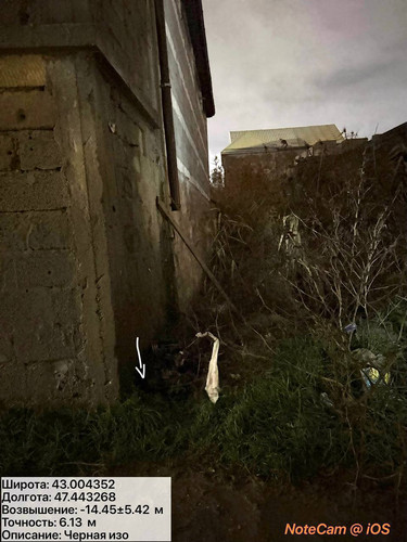 photo 33 2025 12 11 02 27 12.jpg