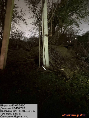 photo 11 2025 12 11 02 27 12.jpg