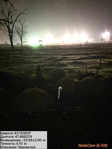 photo 8 2025 12 11 02 27 12.jpg