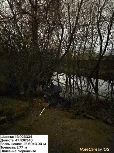 photo 5 2025 12 11 02 27 12.jpg