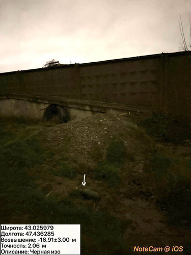 photo 4 2025 12 11 02 27 12.jpg