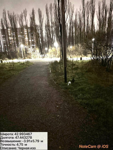 photo 42 2025 12 11 02 27 12.jpg