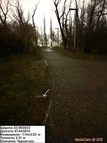 photo 41 2025 12 11 02 27 12.jpg