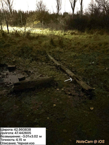 photo 46 2025 12 11 02 27 12.jpg