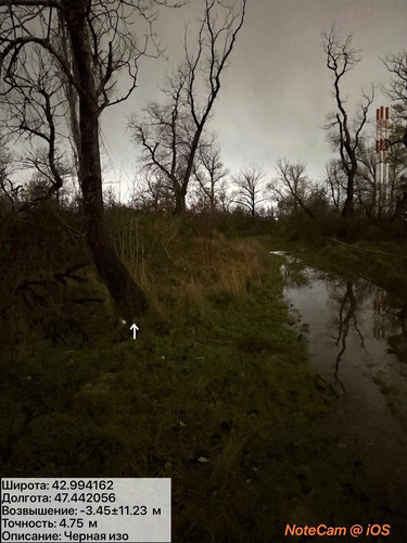 photo 50 2025 12 11 02 27 12.jpg