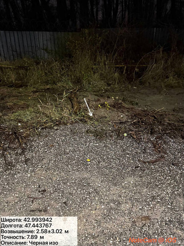 photo 44 2025 12 11 02 27 12.jpg