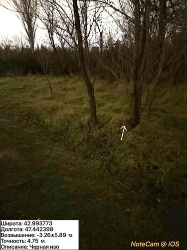 photo 47 2025 12 11 02 27 12.jpg