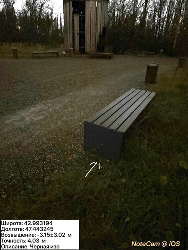 photo 43 2025 12 11 02 27 12.jpg