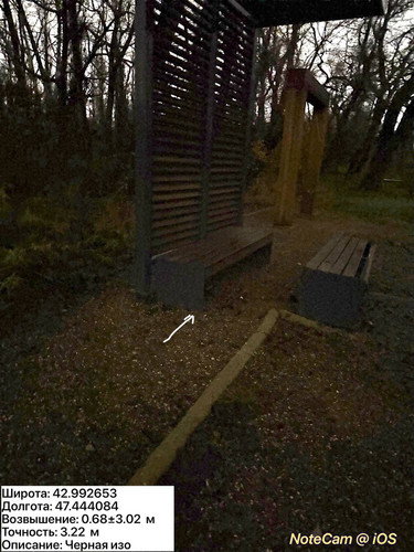 photo 40 2025 12 11 02 27 12.jpg