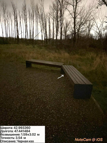 photo 37 2025 12 11 02 27 12.jpg