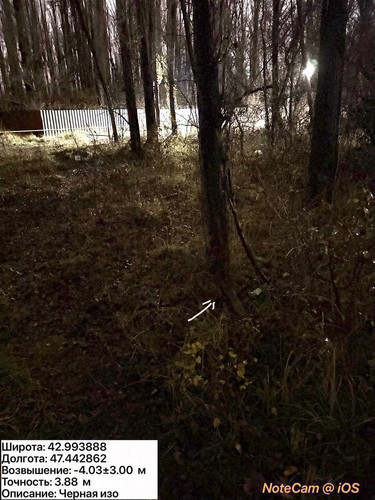 photo 45 2025 12 11 02 27 12.jpg