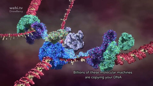 pj 5MiJ86n5i5DyC.jpg