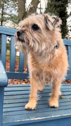 kDDS bRApbl97i37.jpg