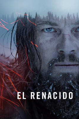 The Revenant [2015] [BD25-BRA] [Latino]