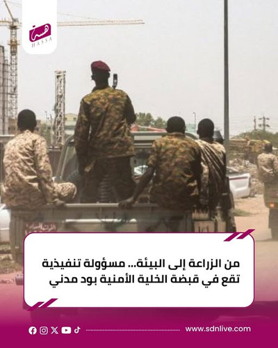 597396371 871418345465123 680266040346591682 n.jpg?stp=dst jpg s640x640 tt6& nc cat=105& nc cb=99be9.jpg