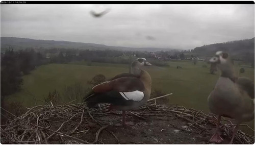 MWSnap118.jpg