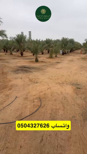 xTMpQTXS VVtpY9z.jpg