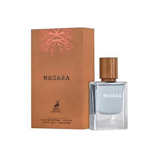 tmp9w4k6p2e 1765458779 1.jpg