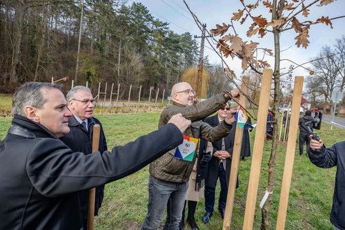 597597438 1396684501821780 3570042440491050442 n.jpg?stp=dst jpg s590x590 tt6& nc cat=110&ccb=1 7& n.jpg