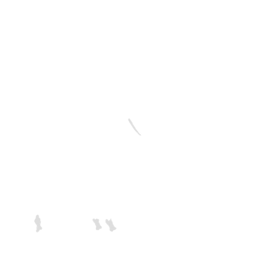 IMG 3042.png