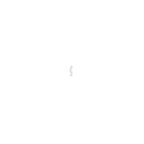 IMG 3037.png