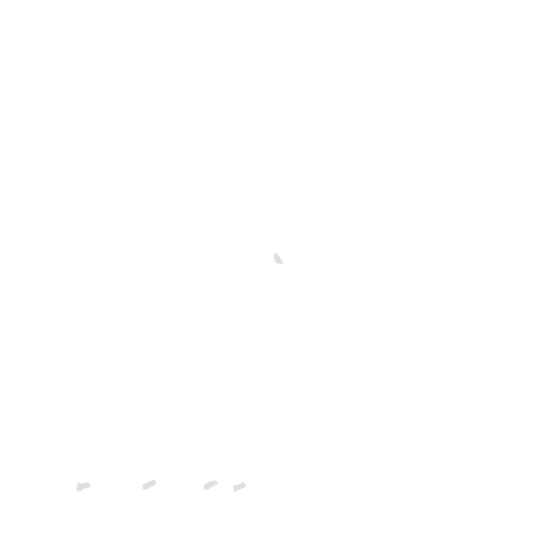 IMG 3040.png