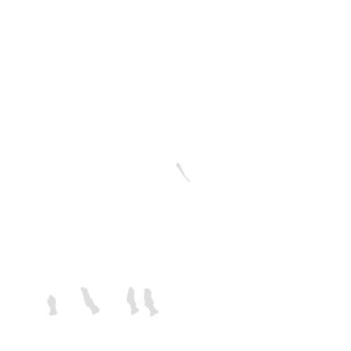 IMG 3039.png