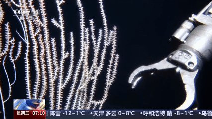 G72P1f aoAAOHMi.jpg