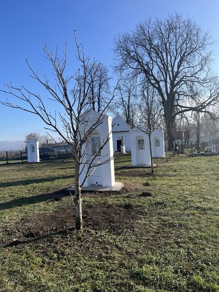 597906391 1231160428826271 6149353134553175541 n.jpg?stp=cp6 dst jpg s590x590 tt6& nc cat=104&ccb=1 .jpg