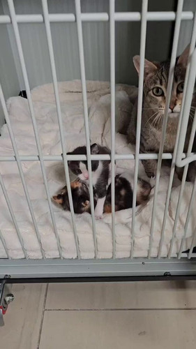 zy6XIk4p1LSsD W5.jpg