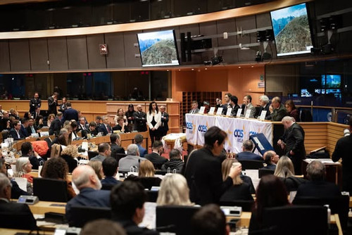 597285929 1444616621004476 2205859302310026687 n.jpg?stp=dst jpg s590x590 tt6& nc cat=104&ccb=1 7& n.jpg