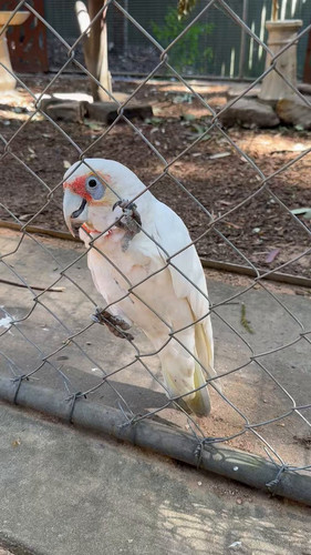 txK25QiR4RGBmT v.jpg