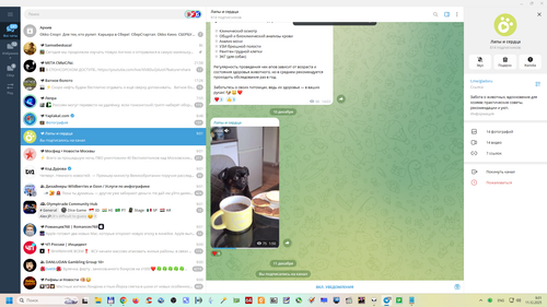 Снимок экрана 2025 12 11 090200.png