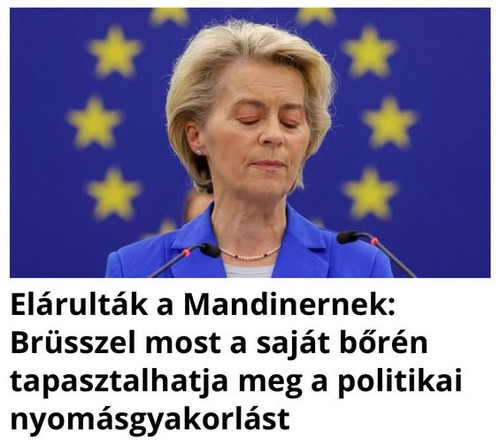 596452128 884286364122362 503093860246790956 n.jpg?stp=dst jpg s565x565 tt6& nc cat=105&ccb=1 7& nc .jpg