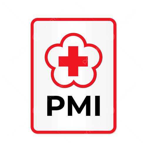 LOGO PMI.png