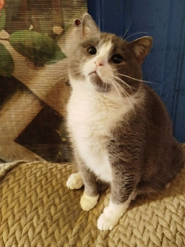 G cRkCLXQAA9uN0?format=jpg.jpg