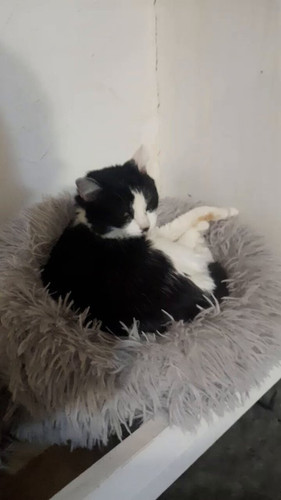 8BtQMY xxhHCkrF .jpg