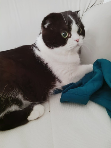 G bNM xWsAAdAWy?format=jpg.jpg