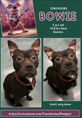 G 0LtQQaQAUUiFH?format=png.png