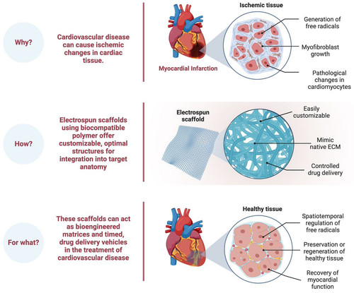 G RhlNyWkAAMp2g?format=jpg.jpg