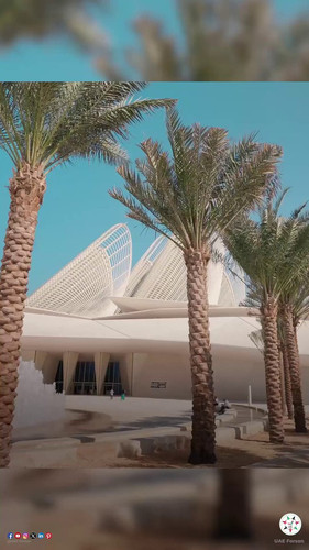 HASpWoSwvWIV ePN.jpg