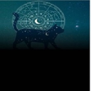 Birth Chart.jpg
