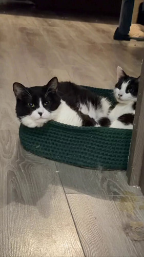 hEea IvRZMc1jdsx.jpg