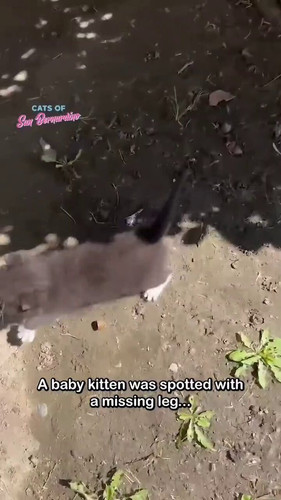 xsjH5D5j CGWrJTd.jpg