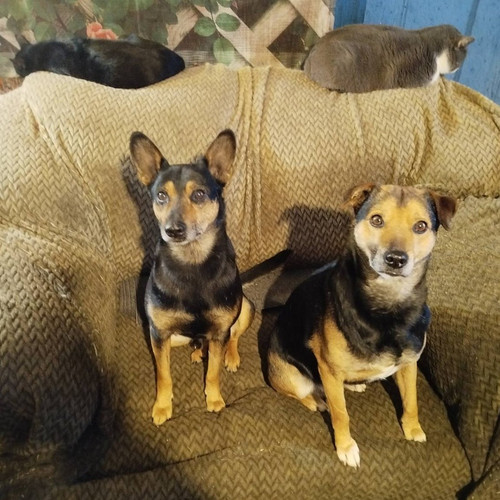 G cTY6fWMAABV3z?format=jpg.jpg